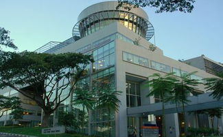 新加坡留學中介 助力自費出國留學，成就國際化教育夢想